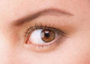 エステサロンの選び方とヴァン・ベールの魅力：美とリラクゼーションを追求するための完全ガイド